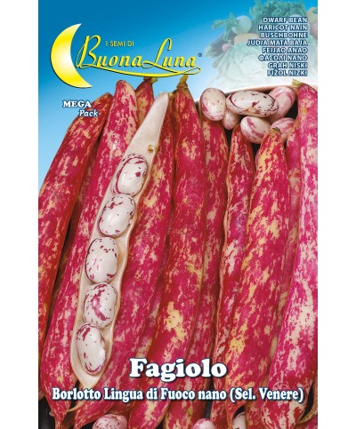 Ferramenta1.com | Semi orto fagioli nani borlotti - PZ 5