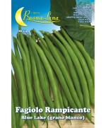 Ferramenta1.com | Semi orto fagioli rampicanti bianchi - PZ 5