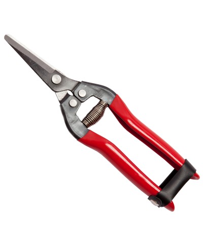 Ferramenta1.com | Forbici p/uva falci lame dritte 19 cm - PZ 1