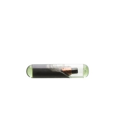 Ferramenta1.com | Chiavi silca transp.chip t48            gr.92 - PZ 1