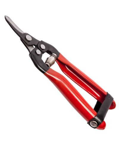 Ferramenta1.com | Forbici p/uva falci lame curve 19 cm - PZ 1