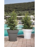 Ferramenta1.com | Sottovaso d 35 cm per vaso gemma d 50 cm bianco - PZ 1