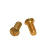 Ferramenta1.com | Sc viti ottone per coprinterruttore (pz.10) - SC 5