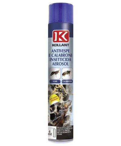 Ferramenta1.com | Insetticida antivespe e calabroni aerosol 750 ml - PZ 12