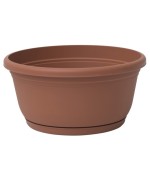Ferramenta1.com | Ciotola in plastica unica con sottovaso d 30 cm - PZ 1