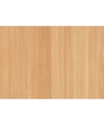 Ferramenta1.com | Rt plastica adesiva 280.2608 faggio pieno 2,5 m - RT 6