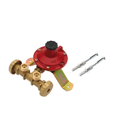 CENTRALINA P/GAS A 2 RUBIN  4 KG/H S/FLESS MIGN*