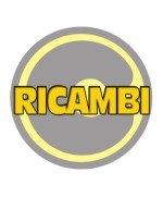 FIORE ASTRO DORIA VITONE RICAMBIO PICCOLO 3/8*
