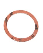 BL GUARNIZIONE P/RESISTENZA FILETTATA SCALDAB 4PZ