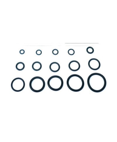 O-RING  5,70X1,90 P/FLESSIBILE MISCELATORE PZ.100