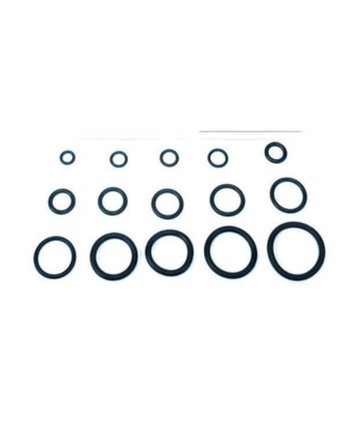 O-RING  8,90X1,90 P/FLESSIBILE MISCELATORE PZ.100