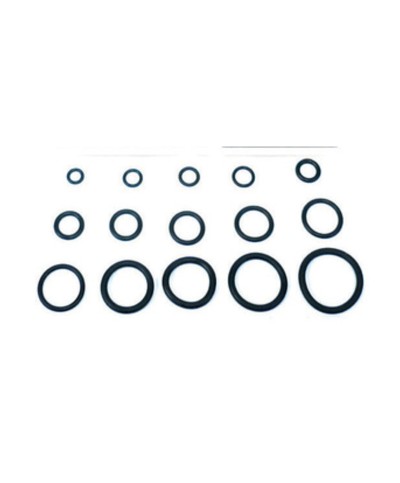 O-RING 13,60X2,70 P/CANNA LAVELLO PZ.100