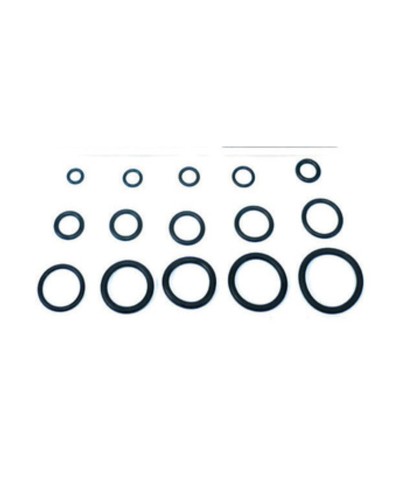 O-RING 15,10X2,70 P/CANNA LAVELLO PZ.100